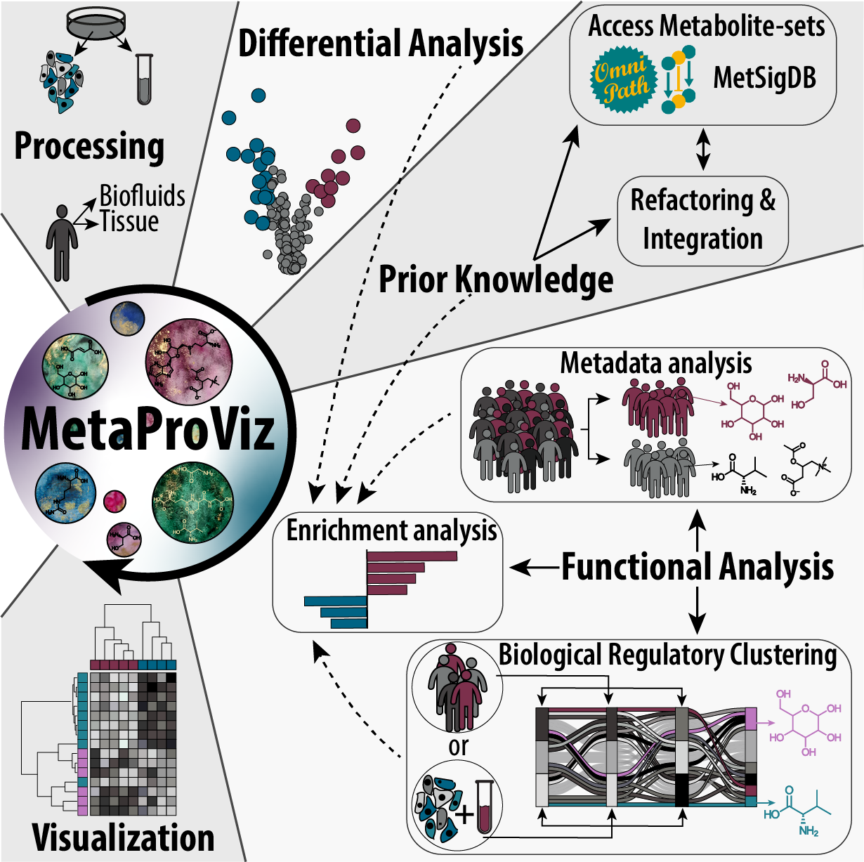 MetaProViz: integrated metabolomics data analysis to generate mechanistic hypotheses
